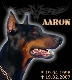 Aaron